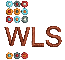 WLS Workplace Learning Solutions